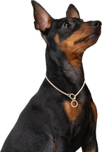 Mogoko Stainless Steel Dog Choke Chain Collar, Puppy Metal Snake Chain Pet Show Slip Collar Choker for Training Walking (Rose Gold;16.0"*3.0mm)