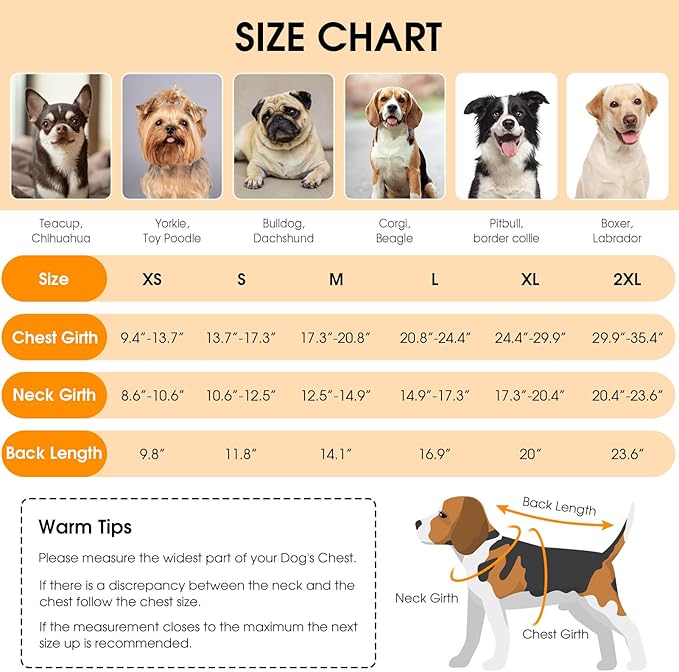 Queenmore Dog Winter Coat, Cold Weather Fleece Jacket for Dogs, Waterproof Reflective Reversible, for Small, Medium and Large Dogs (Green, XS)