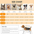 Queenmore Dog Winter Coat, Cold Weather Fleece Jacket for Dogs, Waterproof Reflective Reversible, for Small, Medium and Large Dogs (Grey, XL)