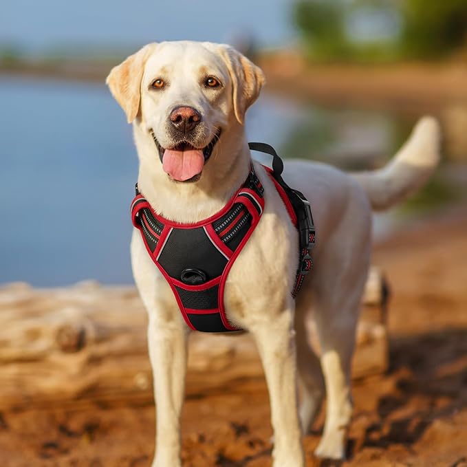 rabbitgoo Dog Harness No Pull with 2 Leash Clips, Adjustable Soft Padded, Reflective Oxford No Choke Pet Vest with Easy Control Handle for Large Dogs, Black & Red, XL