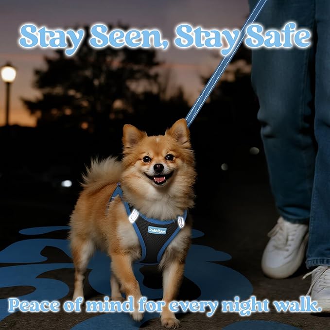 rabbitgoo Dog Harness Small Sized and Leash Set, Step-in Breathable Pet Harness, Soft Walking Reflective Puppy Vest for Small Dogs, Black & Light Blue, S
