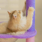 Happy and Polly 52.8 inch Moonlight Cat Tree with Celestial Moon and Star Pendants, Purple Plush Cat Tower with Hammock and Multi Level Perches