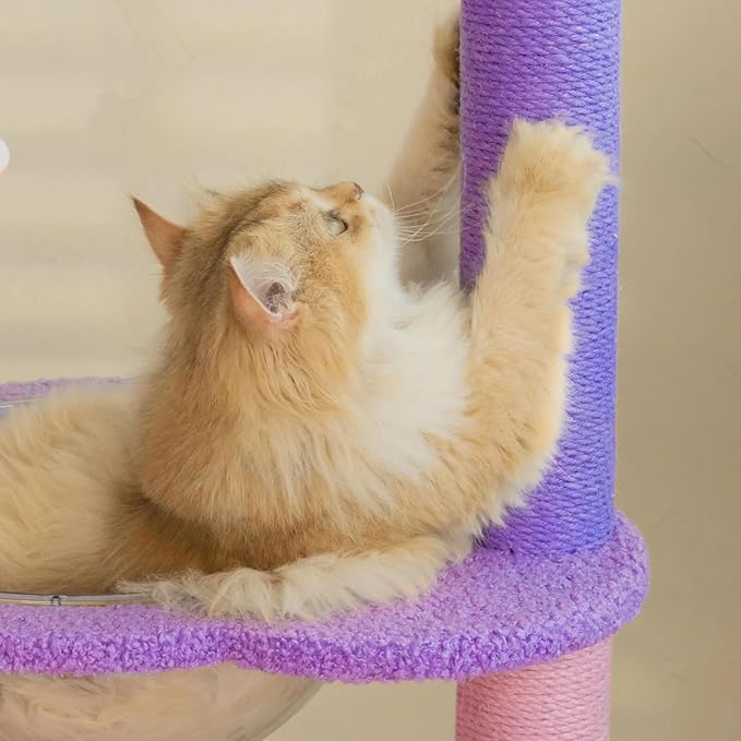 Happy and Polly 52.8 inch Moonlight Cat Tree with Celestial Moon and Star Pendants, Purple Plush Cat Tower with Hammock and Multi Level Perches