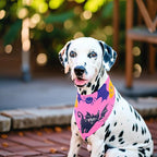 10pcs Big Halloween Dog Bandanas for Large Extral Large XL XXL Kerchief Triangle Bibs Scarves Pumpkin Bats Ghost Spider Owls Pattern for Girl Boy Grooming Costume