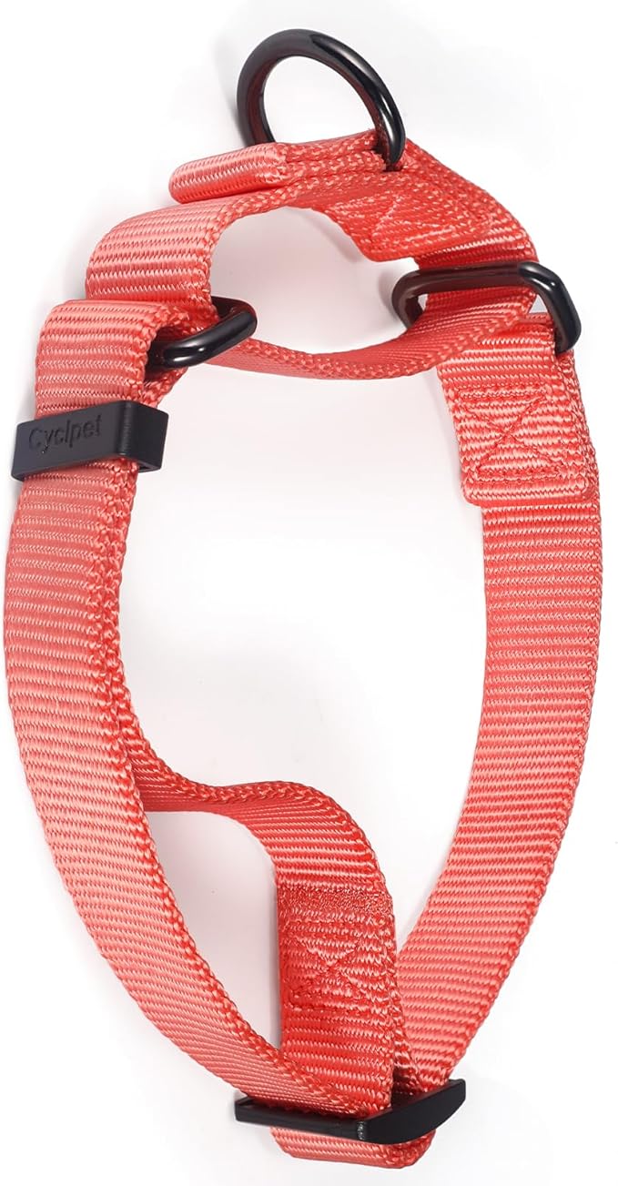 Premium Nylon Adjustable Anti-Escape Martintgale Dog Collars,Heavy Duty Metal Hardware for Medium Active Dogs Daily Walking,Training,etc... (Living Coral, Medium)