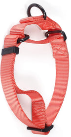 Premium Nylon Adjustable Anti-Escape Martintgale Dog Collars,Heavy Duty Metal Hardware for Medium Active Dogs Daily Walking,Training,etc... (Living Coral, Medium)