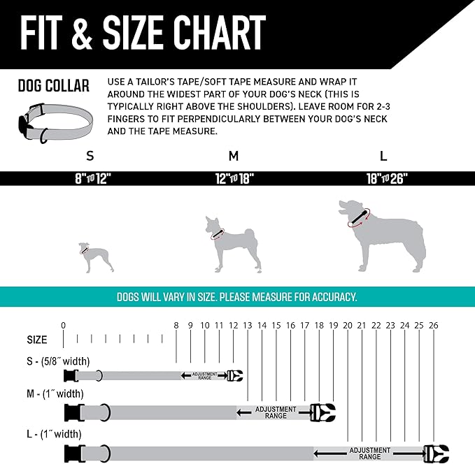 Wolfgang Heavy Duty, Adjustable Dog Collar with Quick Release Nylon Buckle for Walking & Training, LosMuertos Print, Small