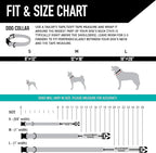 Wolfgang Heavy Duty, Adjustable Dog Collar with Quick Release Nylon Buckle for Walking & Training, LosMuertos Print, Large
