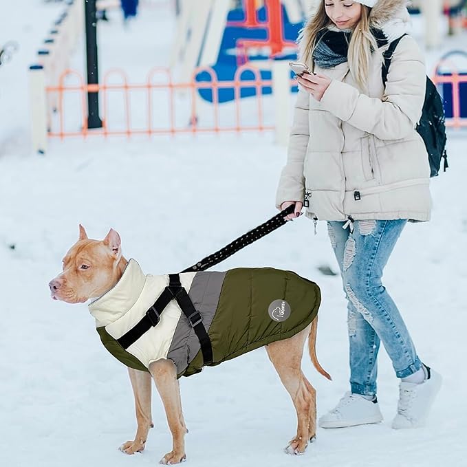 Warm Dog Winter Coat,Waterproof Dog Jacket with Built-in Harnes (Green, XS)