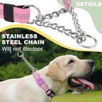 Cymiler Martingale Dog Collar with AirTag Holder, Reflective Nylon Training Collar, Stainless Steel Chain, Heavy Duty Buckle, Limited Slip Collars for Small Medium Large Dogs (Pink, Large)