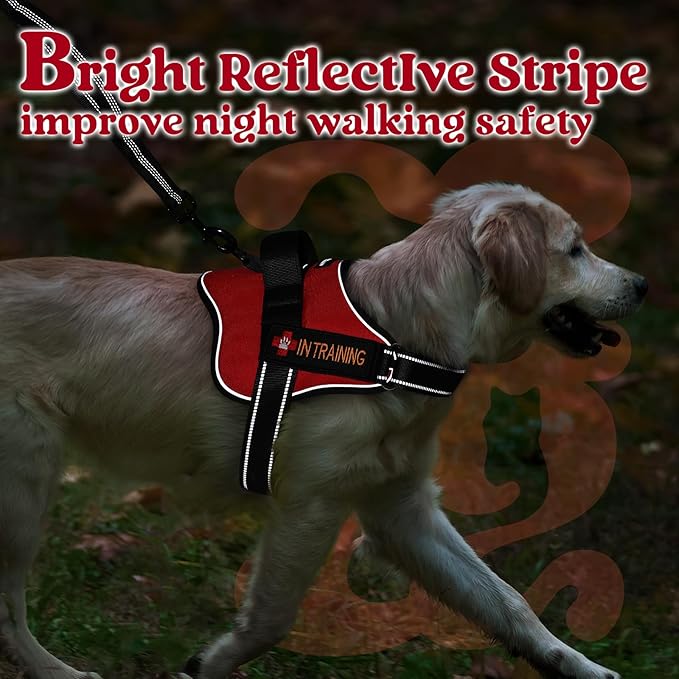 rabbitgoo Dog Harness for Large Dogs, No Pull No Choke Pet Vest, Easy Wearing with One Buckle, Reflective, Adjustable Pet Harness with Molle for Walking, Training, Red, L