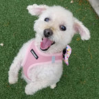 Best Pet Supplies Voyager Step-in Air Harness - All Weather Mesh, Reflective, No Pull Harness for Dogs, Cats - Secure with Hook & Loop Fastener, Buckle, Double D-Rings - Pink, M
