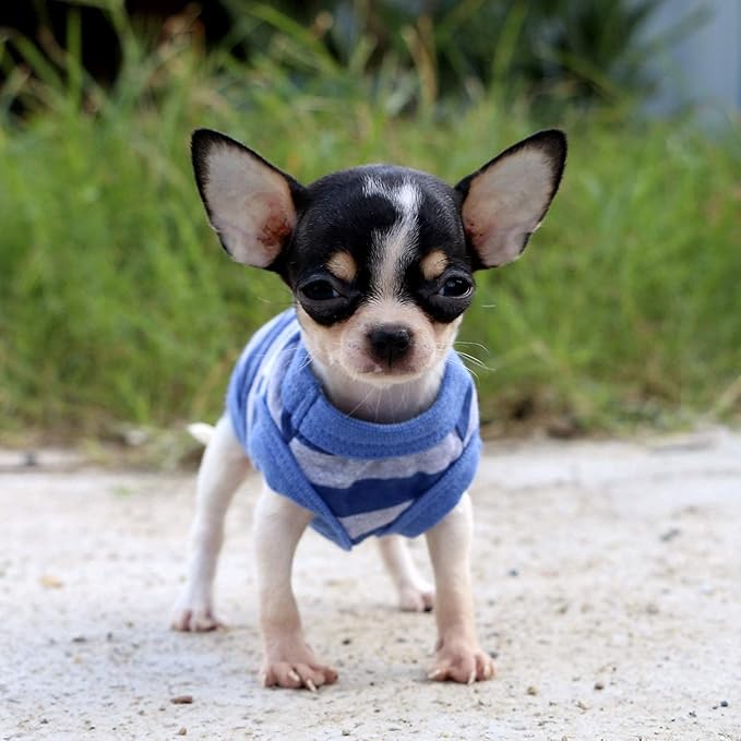 LOPHIPETS 100% Cotton Striped Dog Shirts for Small Dogs Chihuahua Puppy Clothes Tank Vest Tee-Blue and Gray Strips/XXS