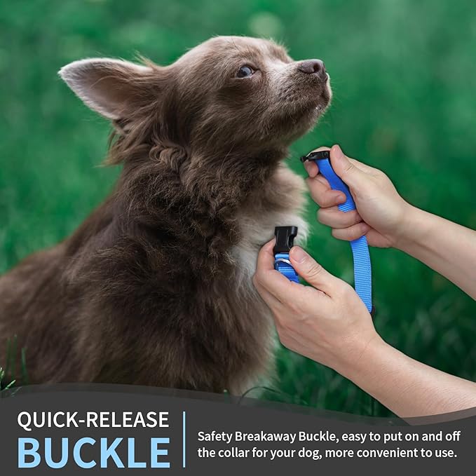 Modern Stylish Ecollar Replacement Strap, Nylon 3/4" Replacement Collar for Shock Collar with Quick Release Buckle, Adjustable Shock Collar Replacement Strap for Small Medium Large Dogs (Blue & Pink)
