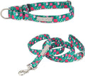Lucky Love Dog Martingale Dog Collar & Leash - Adjustable, No-Slip, Durable, Comfortable, Soft Webbing, & Stylish Patterned Collar & Leash Set for Male and Female Dogs - Penny Combo, Large