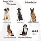 Lightnpro Heavy-Duty Dog Collar & Leash Set - 24" Adjustable Nylon Collar (Coffee Brown) with Secure Metal Buckle & Matching Leash - Durable Walking & Training Gear for Medium & Large Breeds