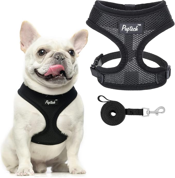PUPTECK Soft Mesh Dog Harness and Leash Set Pet Puppy Cat Comfort Padded Vest No Pull Harnesses, Solid Black, M