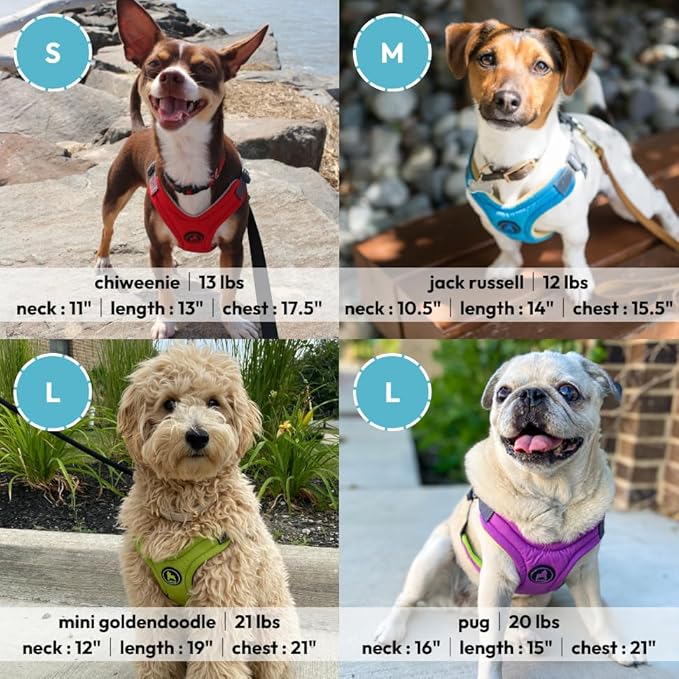 Gooby Escape Free Memory Foam Harness - Purple, Medium - No Pull Step-in Small Dog Harness with Four Point Adjustment - Perfect on The Go Dog Harness for Medium Dogs No Pull and Small Dogs