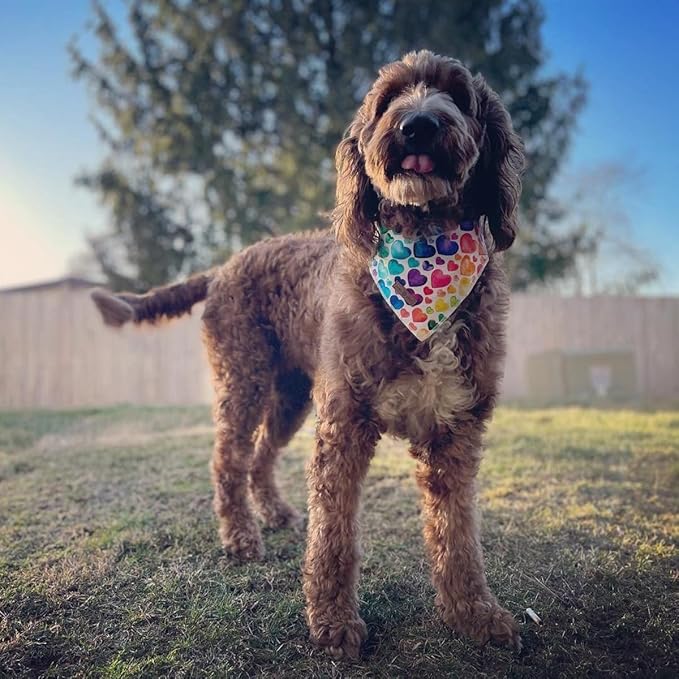 Lionet Paws Valentine's Dog Bandana,Fabric Love Dogs Kerchief for Medium Large Dogs,Dog Triangle Cotton Scarf for Girl Boy