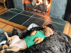 Gooby - Fleece Vest, Small Dog Pullover Fleece Jacket with Leash Ring, Green, X-Large