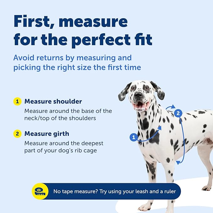 PetSafe 3-in-1 Harness - Comfortable Easy-Walk Dog Chest Harness with Front Leash Attachment to Reduce Pulling, Choking & Gagging - Dog Obedience Gear - Extra Small - Teal