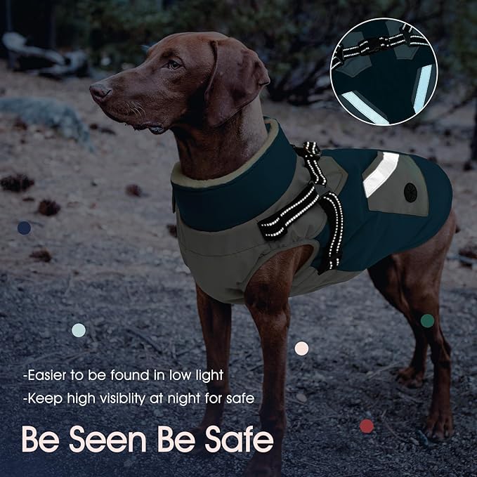 IECOii Dog Winter Coat Waterproof - Dog Coat with Harness Built in for Medium Dogs,Thermal Warm Fleece Lined with Zip Up Cold Weather Jacket,Reflective Snowsuit for Outdoor, Turquoise Green,M