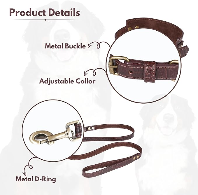 Lightnpro Genuine Leather Dog Collar & Leash Set - Adjustable 24" Collar with Metal Buckle + Durable Lead - Premium Walking & Training Gear for Large Breeds (German Shepherd, Bernese, St. Bernard)