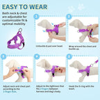 Lukovee No Pull Dog Harness and Leash Set, Soft Padded Small Dog Harness, Neck & Chest Adjustable Reflective Vest Puppy Harness with 4ft Lightweight Anti-Twist Dog Leash for Small Dogs (Purple, M)