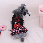 CuteBone Core Spun Dog Sweater Dress for Small Dogs Girl, Wild Heart Embroidery Turtleneck Medium Dog Sweater with Leash Hole, Dog Coat for Chihuahua Yorkie Teacup DS103XS