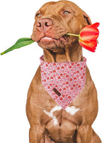 Valentine Dog Bandana, Pink Heart Triangle Bid Scarf for Small Medium Dog, Cotton Pet Kerchief for Girl Boy Dogs or Cats, Red Dog Bandana, Cute Adorable Puppy Bandana
