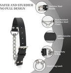 Martingale Collar for Dogs No-Pull Adjustable Training Collar with Stainless Steel Chain - Genuine Leather Anti-Slip Design for Small,Medium,Large Breed Dogs - Black (M)