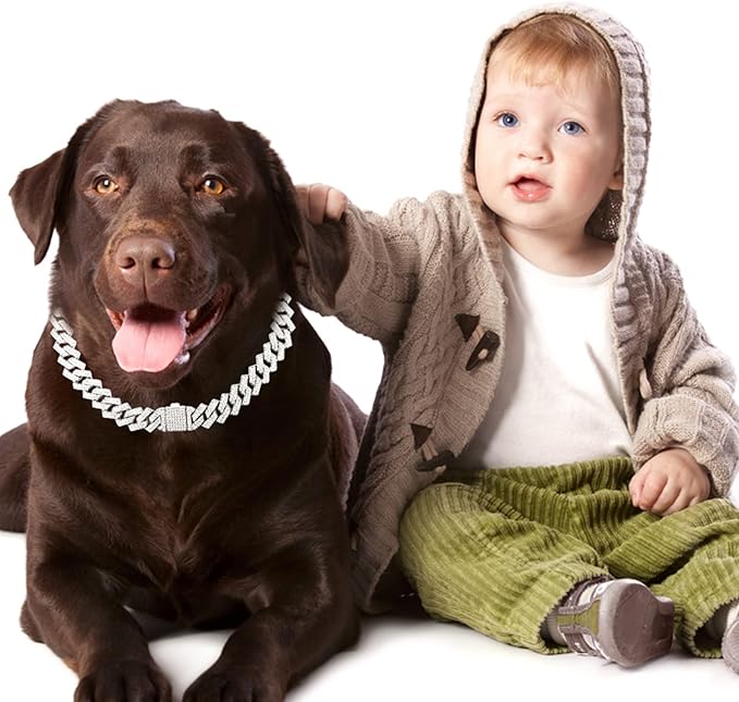 Metal Diamond Dog Chain Dog Training Chain with Secure Buckle Pet Collars for Large Medium Dogs