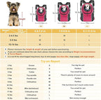 WOYYHO Pet Dog Carrier Backpack Small Dog Front Backpack Ventilated Dog Carrier Back Pack with Storage Pockets, Adjustable Straps & Safety Belt for Travel Hiking Outdoor (Size L: 10-14 lbs, Rose)