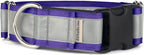 If It Barks - 1.5" Reflective Martingale Collar with Quick Snap Buckle for Dogs - Adjustable - Made in USA - Strong, Durable, and Comfy - Ideal for Training - Fits Most Breeds - Small, Purple