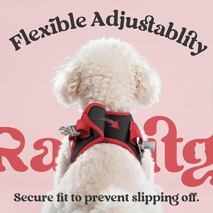 rabbitgoo Dog Harness Small Sized and Leash Set, Step-in Breathable Pet Harness, Soft Walking Reflective Puppy Vest for Small Dogs, Black & Red, M