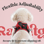 rabbitgoo Dog Harness Small Sized and Leash Set, Step-in Breathable Pet Harness, Soft Walking Reflective Puppy Vest for Small Dogs, Black & Red, S