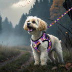 EXPAWLORER Halloween Puppy Harness - Dog Collar and Leash - Soft Mesh Padded Adjustable Step in Small Dog Vest Harness No Pull, Reflective Escape Proof for Outdoor Walking, Purple M