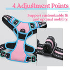 rabbitgoo Dog Harness No Pull with 2 Leash Clips, Adjustable Soft Padded, Reflective Oxford No Choke Pet Vest with Easy Control Handle for Large Dogs, Pink & Blue, L