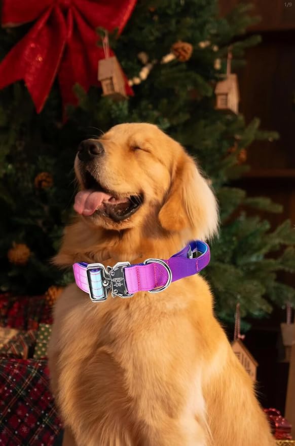 Tactical Dog Collar with Handle, Wide Thick Padded Reflective Heavy Duty Collar with Quick Release Metal Buckle for Medium Dogs (Purple, M)