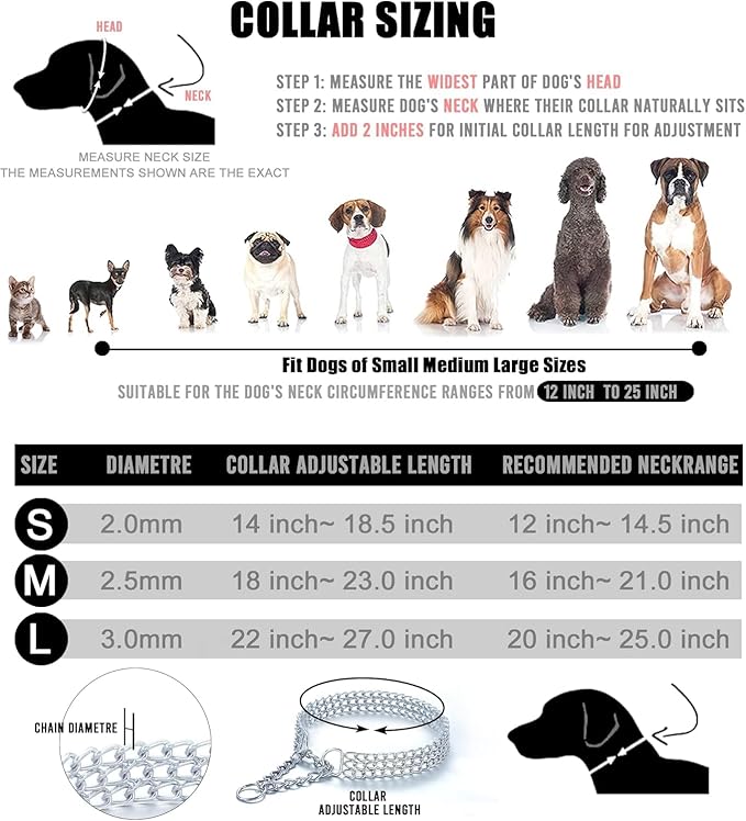Dog Chain Collar Metal Martingale Collar Anti Chew Training Collars Chew Proof Dog Slip Collar Chrome Plated Double Link Dog Collar for Small Medium Dogs (Silver, Small(Neck 12-14.5''))