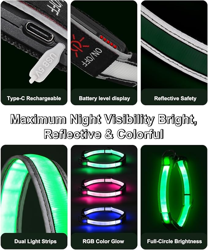 Light-Up Martingale Collar for Dogs Multi-Color, No Pull Adjustable Collars with Buckle, LED Reflective Choke Collar, Rechargeable Lighted Training Dog Collar for Small Medium Large Dogs-Medium