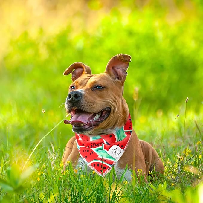 E-Clover Dog Bandanas Summer & Matching Scrunchie Set Dog Bandana Bibs Washable Kerchief Scarf for Medium Large Dogs & Owner Watermelon