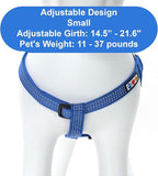 Pawtitas Reflective Step-in Dog Harness – Adjustable No-Pull Vest for Puppies to Seniors, Safe & Comfortable, S Blue