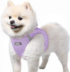 rabbitgoo Small Dog Harness, Step-in Soft Mesh Puppy Vest with Safety Buckle, Breathable Reflective Pet Harness for Small Sized Dogs, Light Purple S