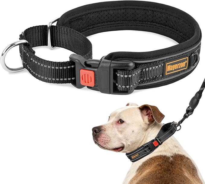 Mayerzon Martingale Collar for Medium Large Dogs, No Pull Dog Collar with Buckle, Soft Padded Reflective Martingale Dog Collar for Training Walking Outdoor(Black, XXL)