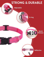 PaiPaitek Dog Shock Collar Replacement Strap 2-Pack, Reflective & Adjustable 3/4" Dog Collar for Training - Compatible with Jugbow, PetSafe, Bousnic, Garmin Replacement Collar Strap - 2 Pack