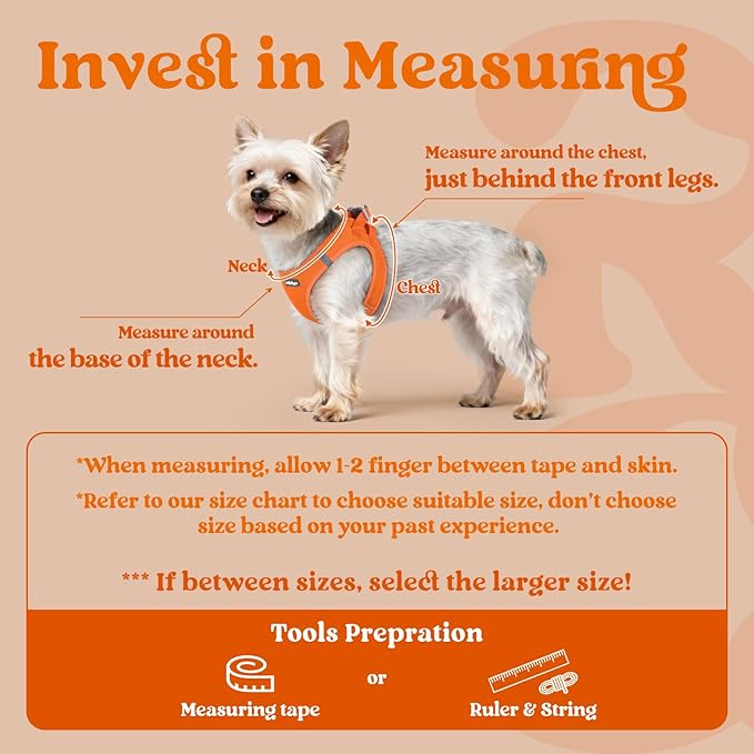 rabbitgoo Small Dog Harness, Step-in Soft Mesh Puppy Vest with Safety Buckle, Breathable Reflective Pet Harness for Small Medium Dogs, Orange L