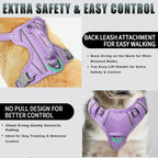BARKBAY No Pull Dog Harness Large Reflective Dog Harness with Front Clip and Easy Control Handle for Walking Training Running with ID tag Pocket(Violet Purple,XS)