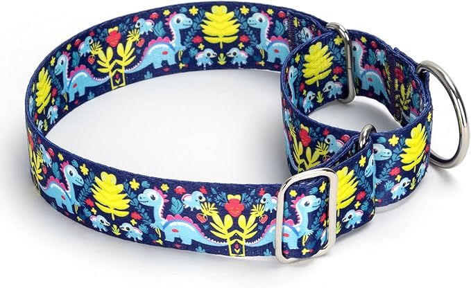 1.5 Inch Wide Martingale Dog Collar - Dinosaur Pattern No Pull Thick Collar for Large Dogs, Heavy Duty Adjustable Training Collar for Medium, Large & XL Dogs（Dinosaur M）