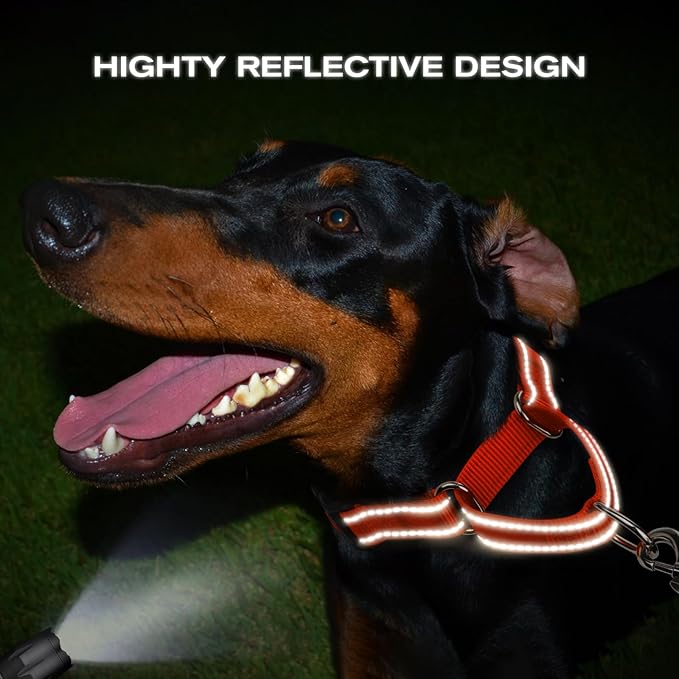 Joytale Martingale Collar for Dogs, Reflective Heavy Duty for Safety, Quick Release Buckle, Adjustable Nylon Collars for Large Dogs Walking Training, Orange,L